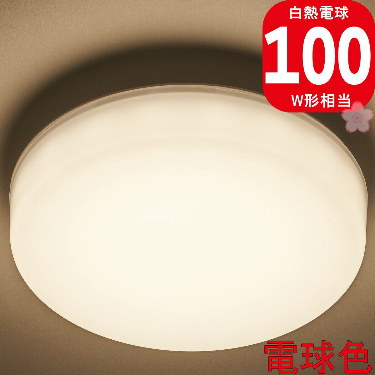 ���~�i�X ESL-V100L