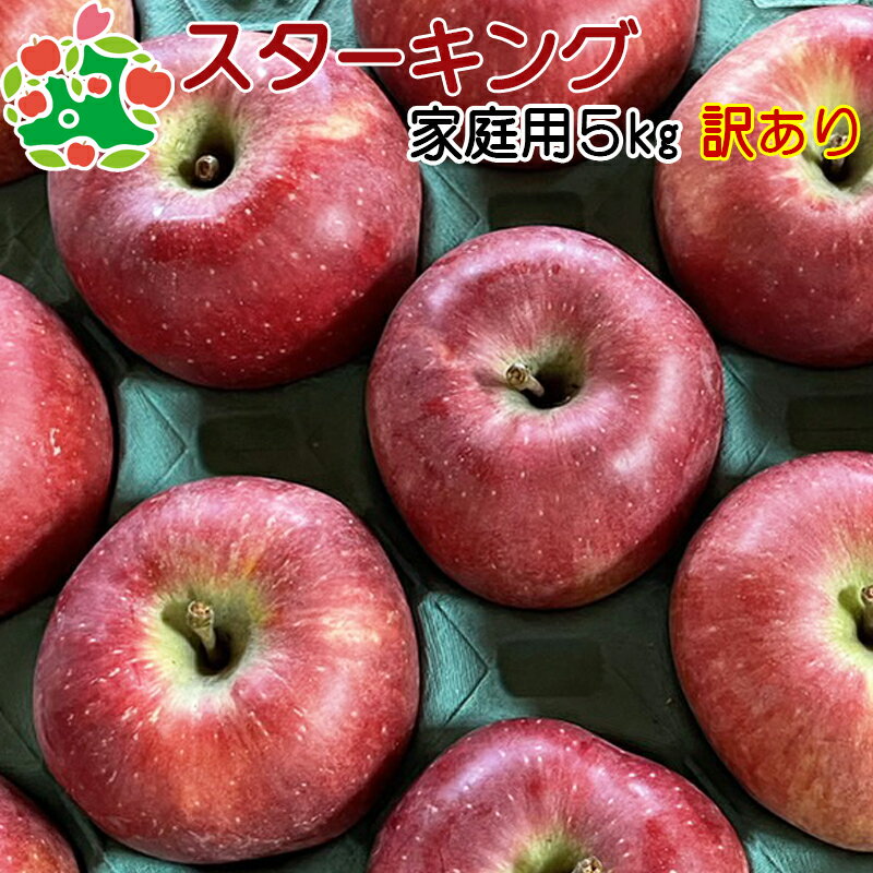 りんご 訳あり 青森 スターキングデリシャス 家庭用 キズあり 5kg 送料無料 産地直送 産直 自宅用 ワケあり お試し 試食 食べ物 旬の くだもの 果物のサムネイル