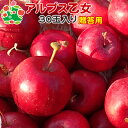 りんご アルプス乙女 特選 30玉入り 送料別