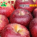 【予約 】10月下旬~11月頃 発送予定 千雪特選中玉5kg 御歳暮 内祝い プレゼント ギフト お返し 贈答品