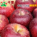 【予約 】10月下旬~11月頃 発送予定 千雪特選中玉10kg 御歳暮 内祝い プレゼント ギフト お返し 贈答品