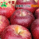 【予約 】10月下旬~11月頃 発送予定 千雪家庭用キズあり10kg 青森りんご 自宅用 ワケあり お試し