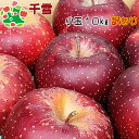 【予約 】10月下旬~11月頃 発送予定 千雪小玉キズあり10kg 青森りんご 自宅用 ワケあり お試し