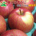 【予約】11月下旬頃~発送開始 葉とらずふじ特選中玉10kg 内祝い プレゼント ギフト お返し 贈答品