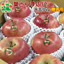 【予約】葉とらずふじ特選大玉5kg 青森りんご 内祝い プレゼント ギフト お返し 贈答品