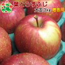【予約】葉とらずふじ特選大玉3kg 青森りんご 歳暮 内祝い プレゼント ギフト お返し 贈答品