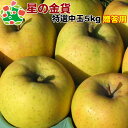 【予約】11月上旬頃発送予定 星の金貨特選中玉5kg 青森りんご 歳暮 内祝い プレゼント お返し 贈答品
