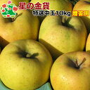 【予約】11月上旬頃発送予定 星の金貨特選中玉10kg 青森りんご 歳暮 内祝い プレゼント ギフト お返し 贈答品