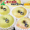 【予約】 11月上旬頃発送予定 星の金貨特選大玉10kg 青森りんご 歳暮 内祝い プレゼント ギフト お返し 贈答品