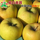 【予約】11月上旬頃発送予定 星の金貨 小玉キズあり5kg 訳あり 自宅用 お試し