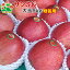 りんご サンふじ 特選 大玉 青森県産 ギフト 贈答用 5kg 送料込