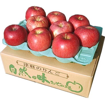 【15時までのご注文で最短翌日出荷】【訳あり】 りんご サンふじ 家庭用 キズあり 青森県産 3kg