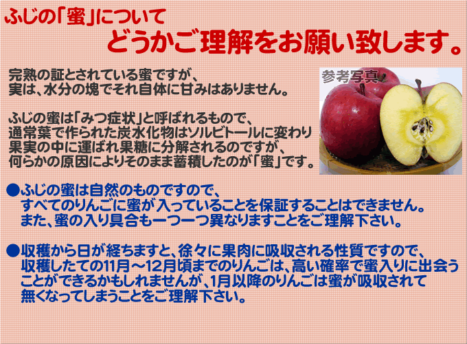 サンふじ 訳あり 5kg 青森 りんご サンフジ　訳あり リンゴ林檎 青森 詰め合わせ可能【11月中旬収穫】サンふじ家庭用キズあり5kg