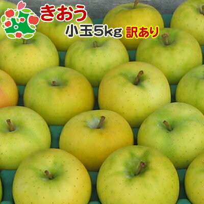 りんご 訳あり 青森 きおう 家庭用 小玉 キズあり 5kg 送料無料 産地直送 産直 自宅用 ワケあり お試し 試食 食べ物 旬の くだもの 果物のサムネイル