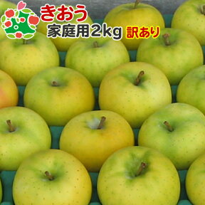 りんご 訳あり 青森 きおう 家庭用 キズあり 2kg 送料無料 産地直送 産直自宅用 ワケあり お試し 試食 食べ物 旬の くだもの 果物