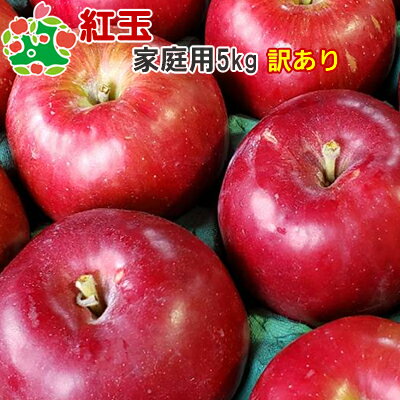 りんご 訳あり 青森 紅玉 家庭用 キズあり 5kg