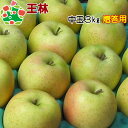 35%OFF!! 日付指定不可★ 元値3,800★王林特選中玉3kg