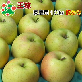 りんご 訳あり 青森 王林 家庭用 キズあり 10kg 送料無料 産地直送 産直 自宅用 ワケあり お試し 試食 食べ物 旬の くだもの 果物