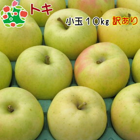 りんご 訳あり 青森 トキ 家庭用 小玉 キズあり 10kg 送料無料 産地直送 産直 自宅用 ワケあり お試し 試食 食べ物 旬の くだもの 果物