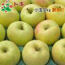 りんご 訳あり 青森 トキ 小玉 キズあり 5kg 送料無料 産地直送 産直 自宅用 ワケあり お試し 試食 食べ物 旬の くだもの 果物