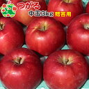 りんご 贈答用 青森 葉とらず サンつがる 特選 中玉 3kg 送料無料 産地直送 産直 御歳暮 歳暮 内祝い プレゼント 内祝 お返し 贈答品 食べ物 旬の ...