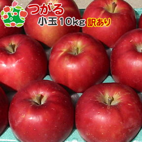 りんご 訳あり 青森 葉とらず サンつがる 家庭用 小玉 キズあり 10kg 送料無料 産地直送 産直 自宅用 ワケあり お試し 試食 食べ物 旬の くだもの 果物