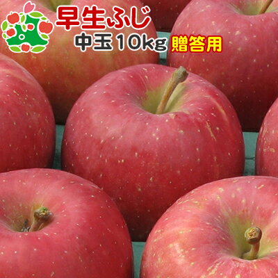 楽天桜庭りんご農園＜楽天市場店＞りんご 贈答用 青森 早生ふじ 特選 中玉 ギフト 10kg 送料無料 産地直送 産直 御歳暮 歳暮 内祝い プレゼント 内祝 お返し 贈答品 食べ物 旬の くだもの 果物