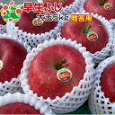 早いもの勝ち!数量限定 早生ふじ特選大玉5kg 内祝い プレゼント ギフト お返し 贈答品