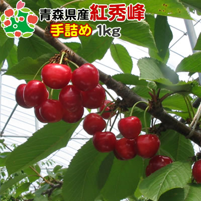 【予約販売★7月中旬お届け予定】さくらんぼ 紅秀峰 贈答用 青森県産 2L/3Lサイズ混載1kgのサムネイル