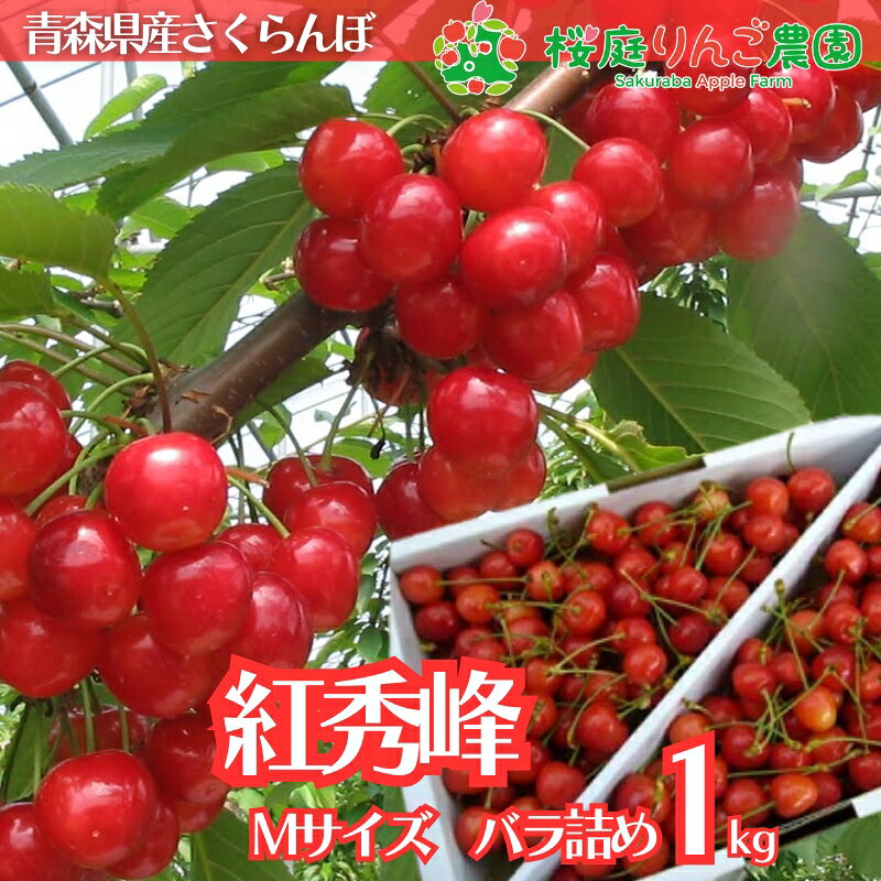 楽天市場】紅秀峰 1kg 青森の通販