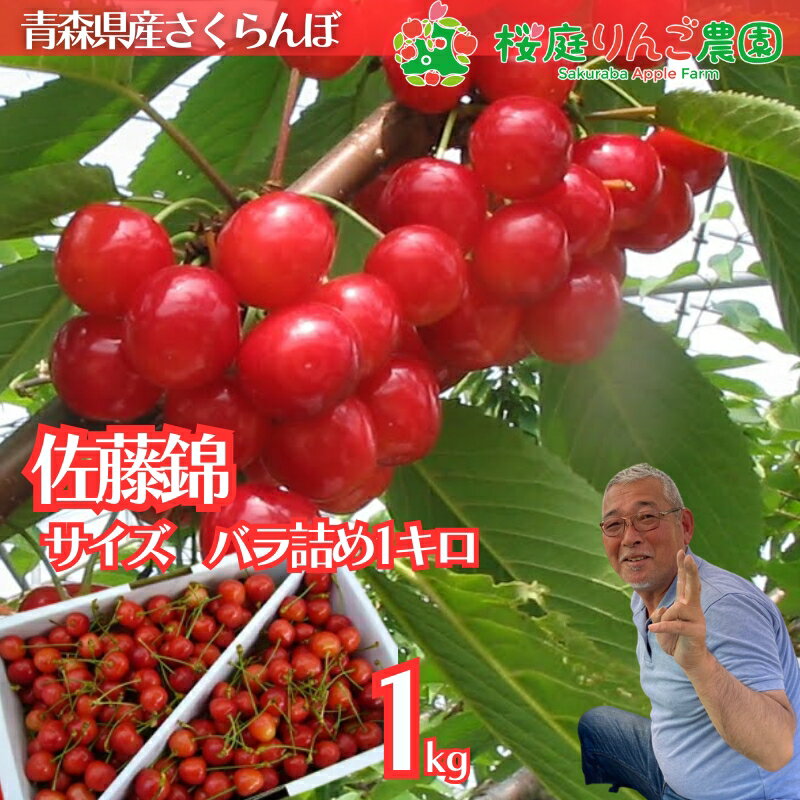 さくらんぼ 佐藤錦 家庭用 1kg 青森県産 佐藤錦Mサイズバラ詰め1kg