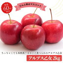 10月15日~発送開始!! アルプス乙女キズあり 2kg りんご 訳あり 希少 青森 送料別 ミニサイズ