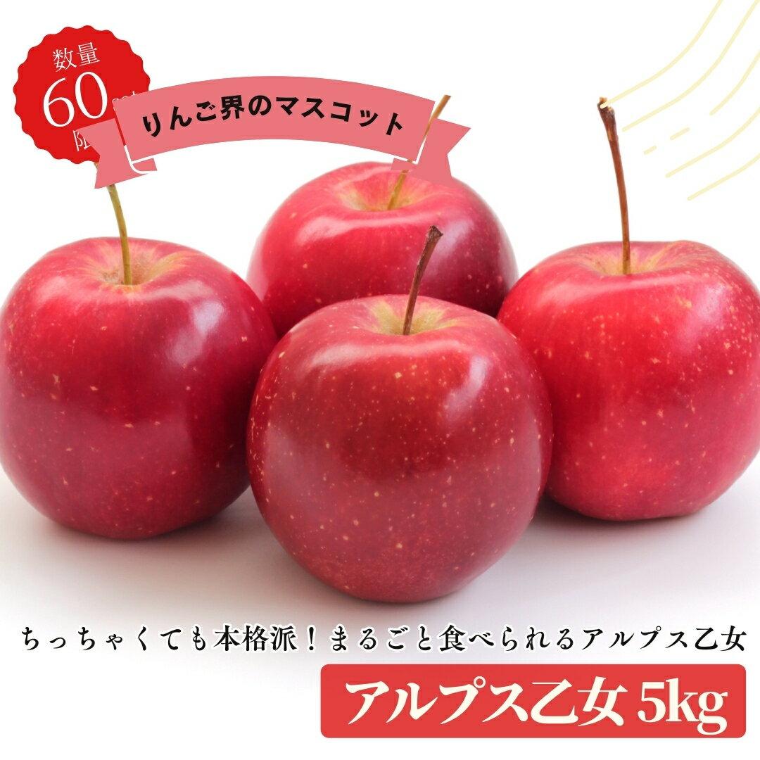 アルプス乙女キズあり 5kg りんご 訳あり バラ詰め 希少 青森 送料別