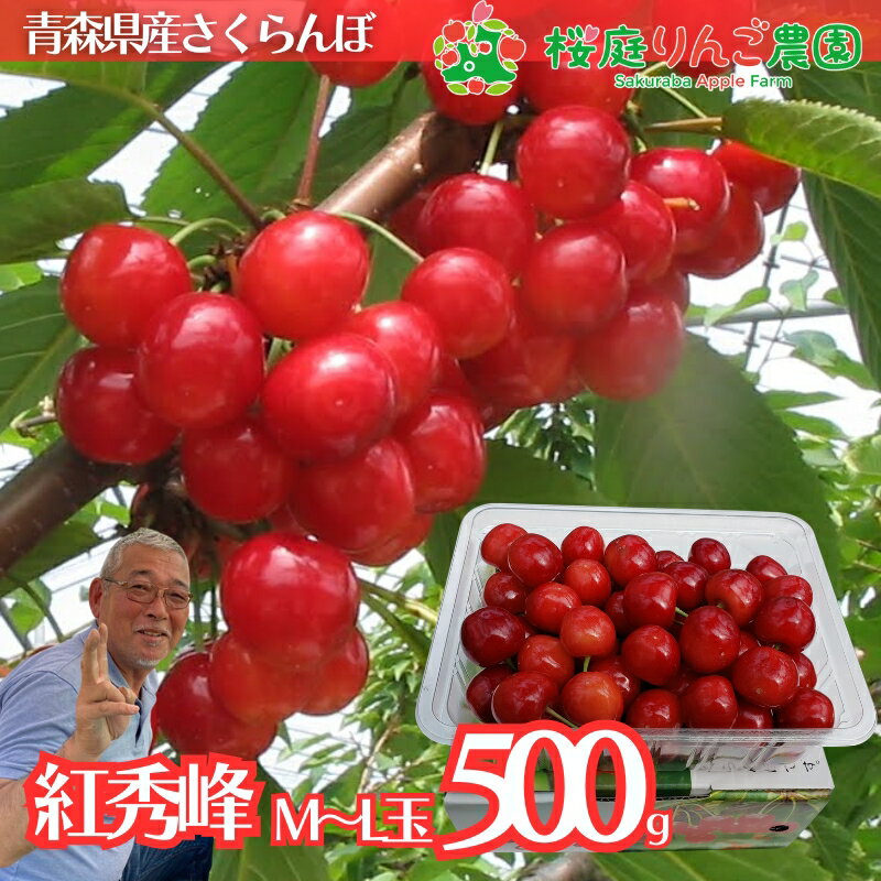 Rakuten - さくらんぼ 紅秀峰 贈答用 青森県産 M/Lサイズ混載500g