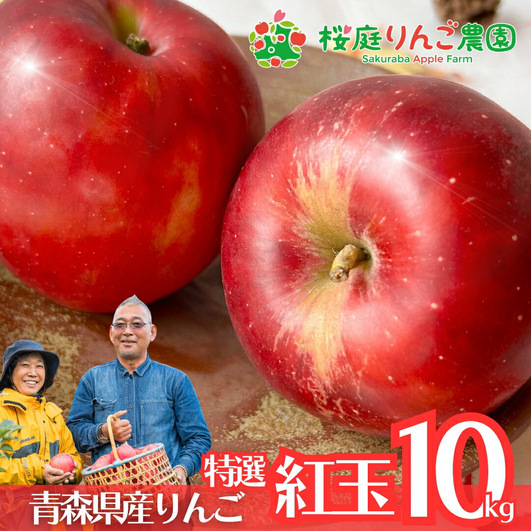紅玉 CA貯蔵 特選 10kg 贈答用 ギフト青森 りんご ご自宅用 ご家庭用 産地直送 プレゼント