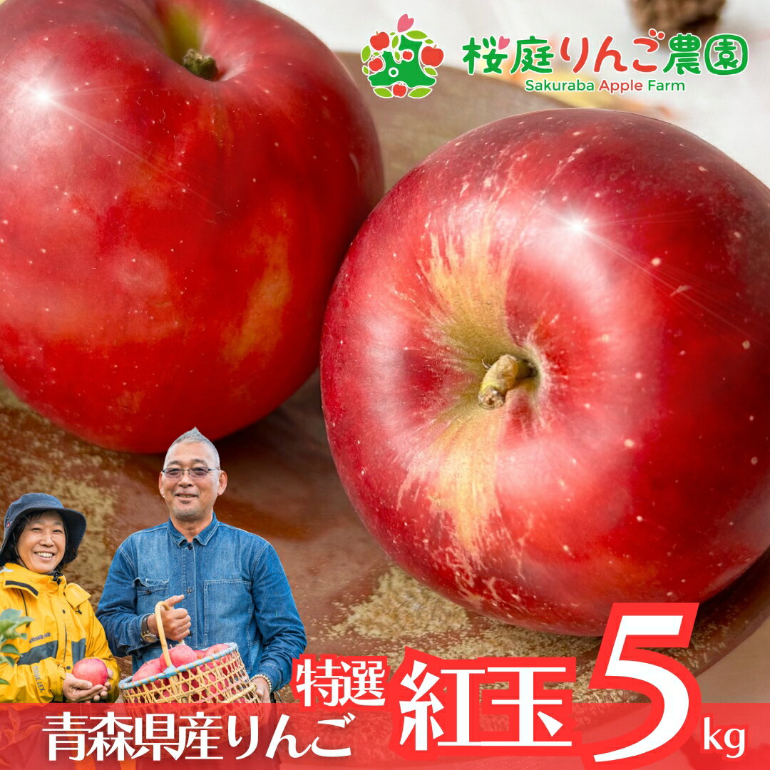 紅玉 CA貯蔵 特選 5kg 贈答用 ギフト青森 りんご ご自宅用 ご家庭用 産地直送 プレゼント