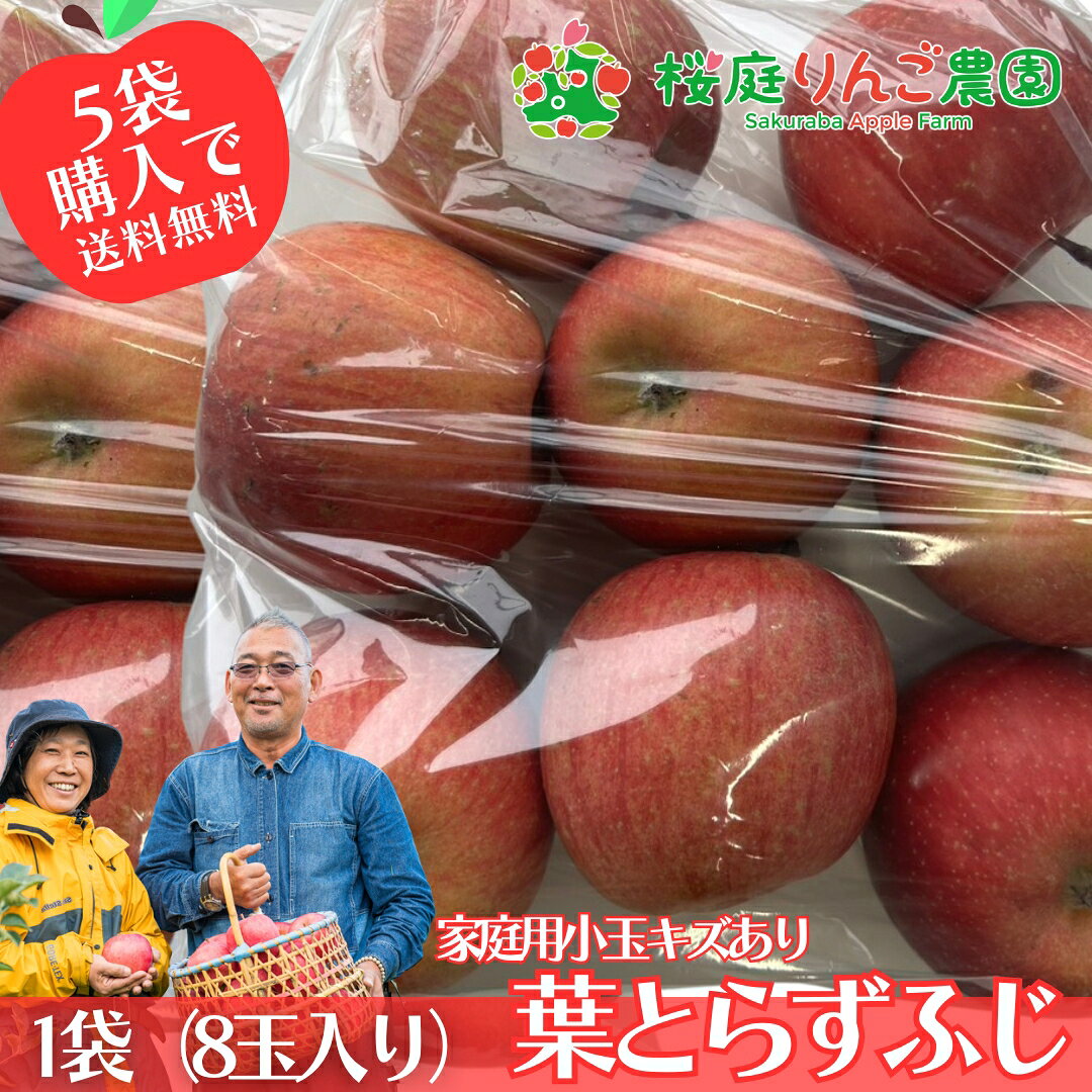 5袋以上購入で送料無料！葉とらずふじ 小玉 家庭用キズあり8玉入り 訳あり 青森りんご 袋詰 【送料別】【5個まで購入可能】