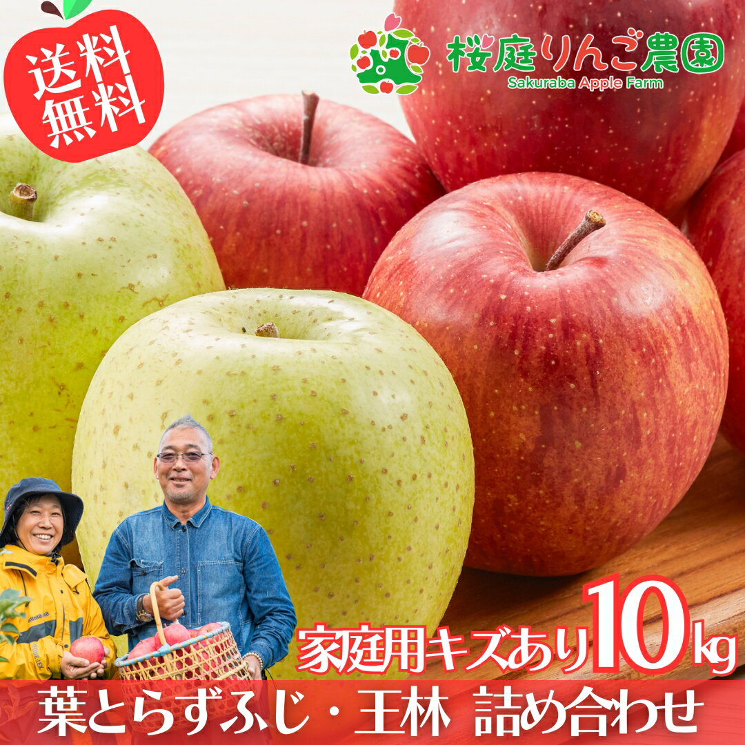 【予約】11月下旬頃～発送開始 葉とらずふじ・王林 詰め合わせ 家庭用キズあり10kg 青森りんご 訳あり 自宅用