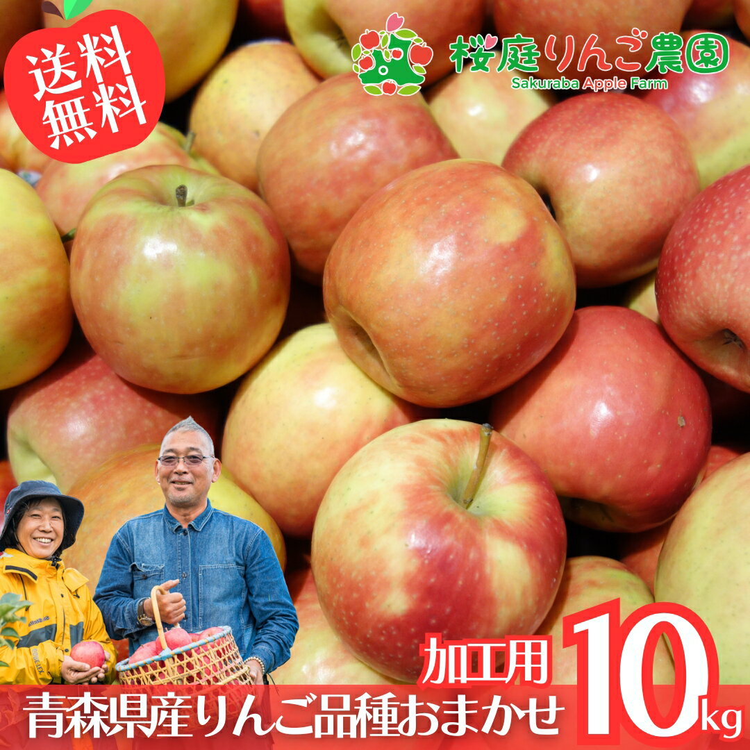 大特価！！なんと送料無料！！ 青森県産 加工用 りんご 品種おまかせ 10kg 産地直送 産直 自宅用 青森ワケあり お試し 試食 食べ物 旬の くだもの 果物 お菓子作り パフェ アップルパイ ジャム