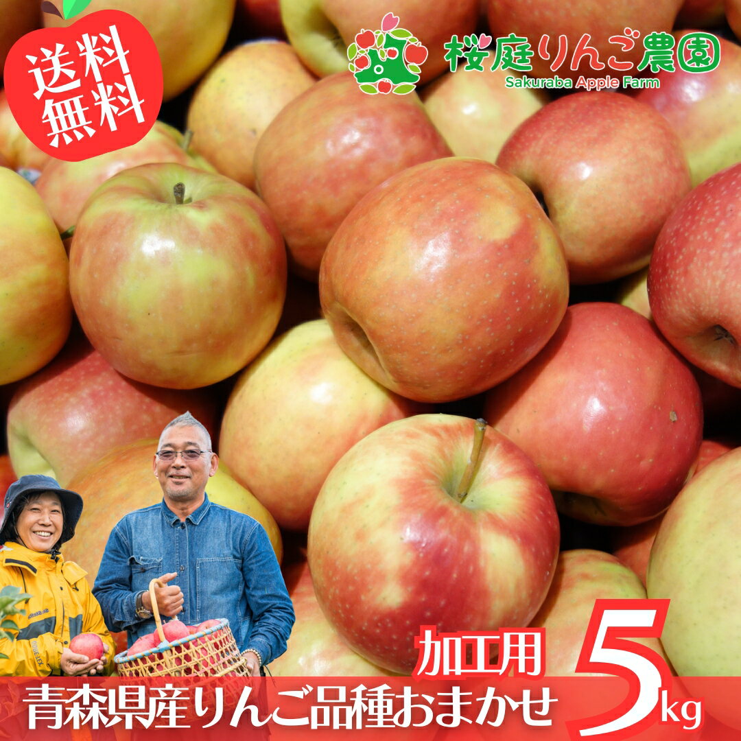 大特価！！ なんと送料無料！！青森県産 加工用 りんご 品種おまかせ 5kg 産地直送 産直 自宅用 青森ワケあり お試し 試食 食べ物 旬の くだもの 果物 お菓子作り パフェ アップルパイ ジャム