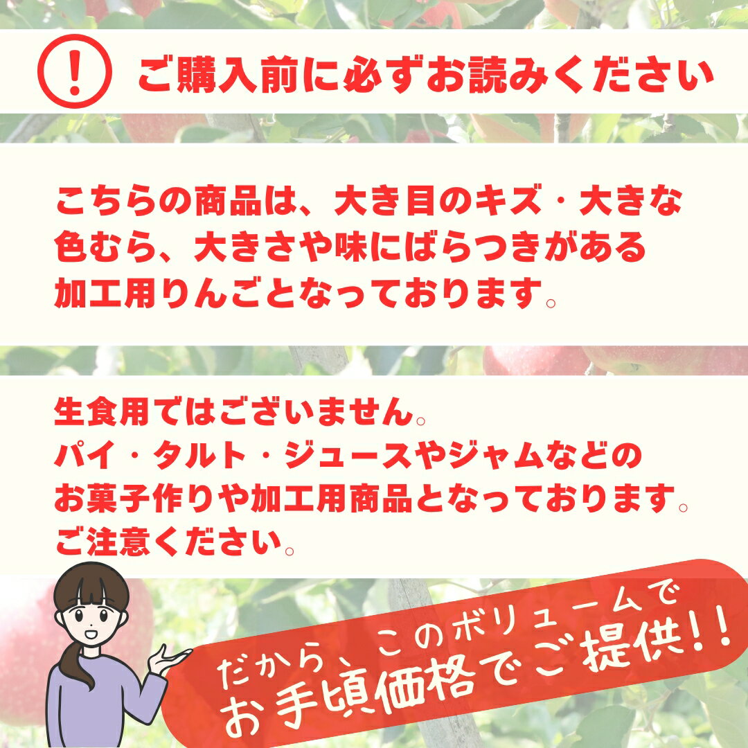 大特価！！なんと送料無料！！ 青森県産 加工用 りんご 品種おまかせ 10kg 産地直送 産直 自宅用 青森ワケあり お（3枚目）