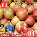 大特価!! 青森県産 加工用 りんご 品種おまかせ 10kg 送料無料 産地直送 産直 自宅用 青森ワケあり お試し 試食 食べ物 旬の くだもの 果物 お菓子作り パフェ アップルパイ ジャム