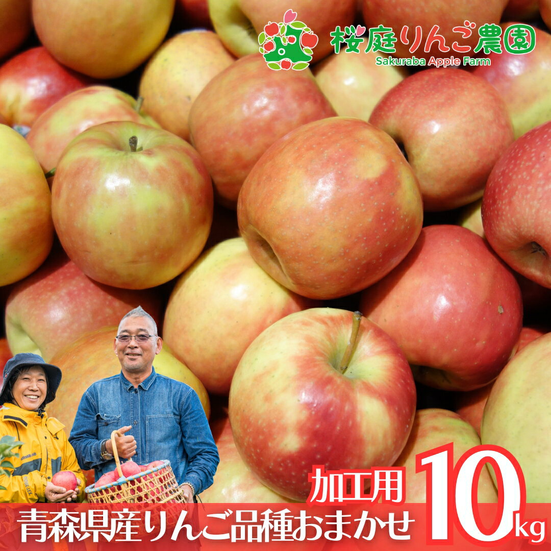 大特価！！ 青森県産 加工用 りんご 品種おまかせ 10kg 産地直送 産直 自宅用 青森ワケあり お試し 試食 食べ物 旬の くだもの 果物 お菓子作り パフェ アップルパイ ジャム