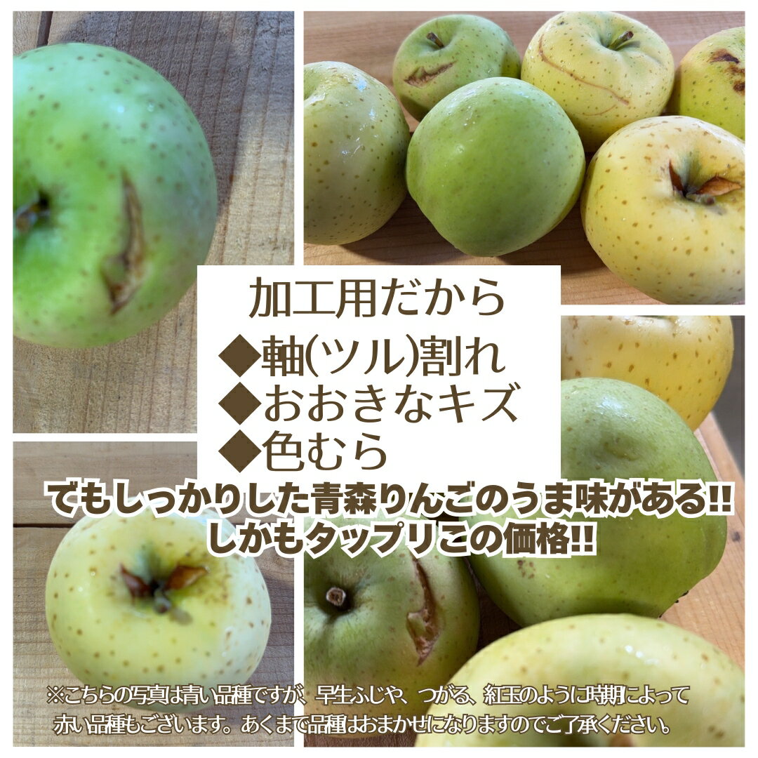 大特価！！なんと送料無料！！ 青森県産 加工用 りんご 品種おまかせ 10kg 産地直送 産直 自宅用 青森ワケあり お（2枚目）