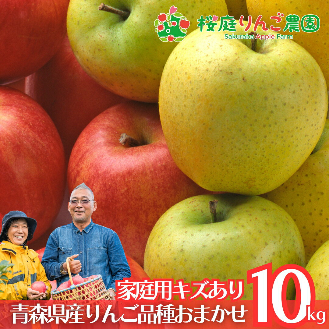 青森県産 品種おまかせ 家庭用キズあり10kg 青森りんご 訳あり 自宅用