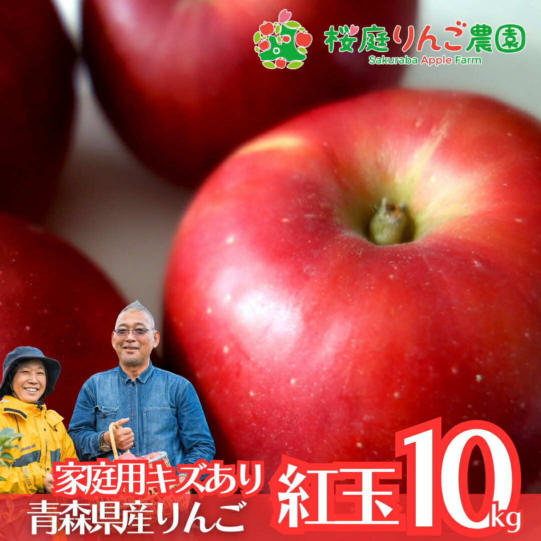 紅玉 CA貯蔵 家庭用 キズあり 10kg 家庭用 青森 りんご 訳あり 自宅用