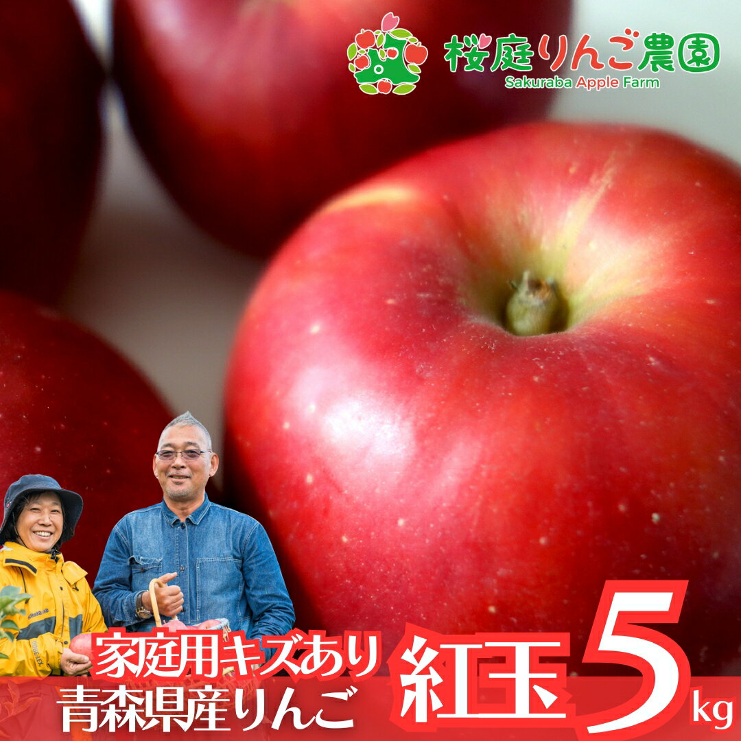 紅玉 CA貯蔵 家庭用 キズあり 5kg 家庭用 青森 りんご 訳あり 自宅用