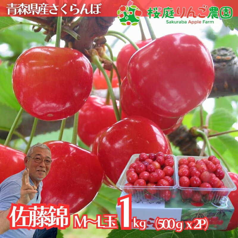 Rakuten - さくらんぼ 佐藤錦 1kg l 青森県産 佐藤錦M/Lサイズ混載1kg