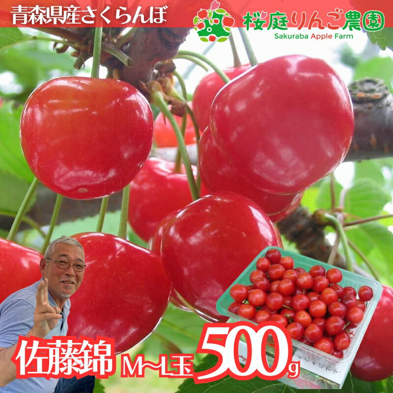 Rakuten - さくらんぼ 佐藤錦 l 青森県産 佐藤錦M/Lサイズ混載500g