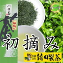 静岡 川根 久野脇産 手摘み 1番茶葉 100％ 「初摘み」100g 川根茶 煎茶 緑茶 静岡茶 日本茶